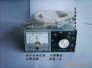 TDA-8001,0-300温度指示调节仪,温控仪
