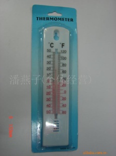 供应单片温度计(HW004-1)