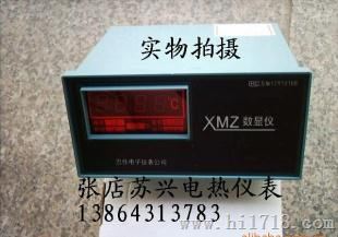 XMZ-101温度指示调节仪，不带控E型