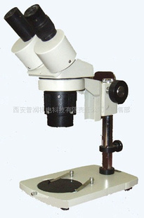 西安供应两挡体视显微镜XTJ4600
