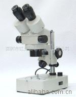 供应显微镜XTL-2600深圳飞耀达电子