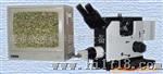 供应XD-2视频金相显微镜(图)
