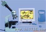 供应彩色电视显微镜,视频生物显微镜(图)