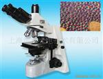 供应LW300-46LT科研型生物显微镜（数显）