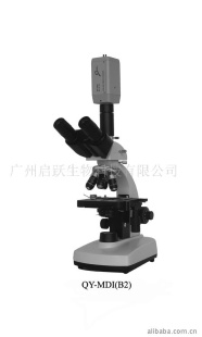 供应QY-MDI(B2)视频显微镜