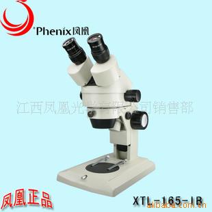 凤凰光学XTL-165-IB-45X体视显微镜