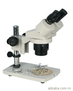 双目体视定倍显微镜 实体显微镜