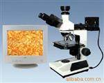供应XJX-300型三目正置式金相显微镜