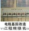 供应电瓶基因改造工程转移机