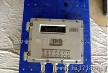 本安型/隔爆型防爆型仪表