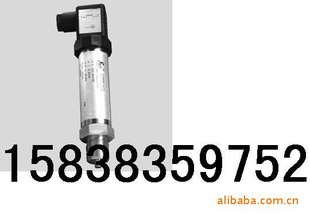  SWP-T20X棒状压力变送器 