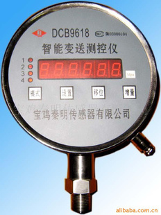 DCB_9618自动化仪表