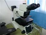 二手显微镜 MX50显微镜