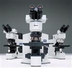 BX51显微镜