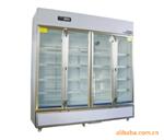 YY-1200 供应药品冷藏柜 药品冷藏柜的供应