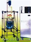 供应双层玻璃反应器(图)