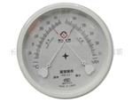 长沙欧亚计量仪器仪表优质销售 温湿表