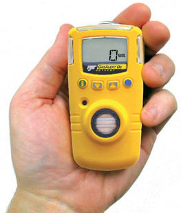臭氧检测仪 便携式加拿大BW气体检测仪 GAXT-G/O3 臭氧分析仪