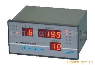 供应WSD-3温湿度测控仪表|温湿度控制器
