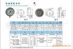 供应甘油式压力计 山东  广东 福建  江西  浙江