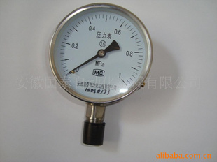 安徽国泰供应不锈钢压力表YB-100