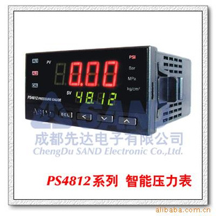 PS4812系列 可编程智能数字压力表(高温熔体)
