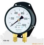 仪器仪表/上海正保双针双管压力表/铁路压力表