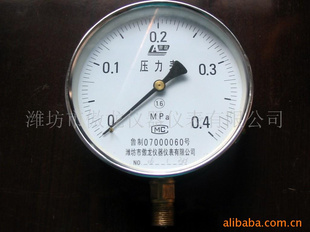 耐高温压力表供应(图)YTH60-250