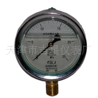 长期供应质量优质，价格合理的耐震压力表Y60