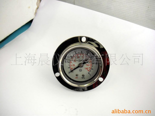 YNZT系列耐震压力表(图)