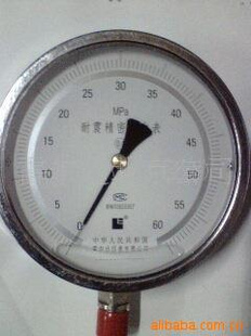 专批雷尔达 上海仪川 压力表 精密耐震压力表