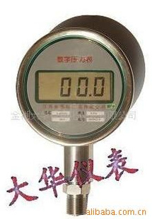 DH-便携式精密数字压力表