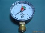供应Y60径向调节式水泵压力表