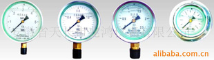 供应YTN-60耐震压力表