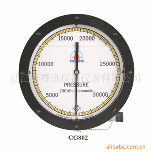 8.5寸泥浆表