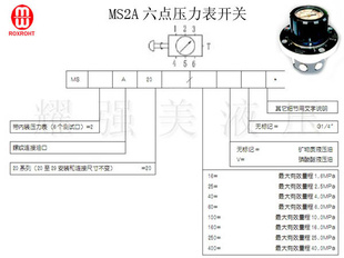隆士乐-MS2A-20/100六点压力表开关