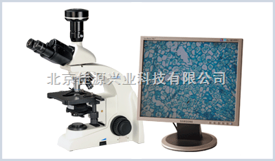 BS200 数码生物显微镜