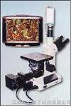 图像金相显微镜 图像金相显微镜