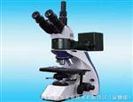 LWZ300-4JT 正置金相显微镜