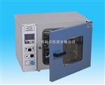 DHG-9123 数控电热恒温鼓风干燥箱