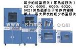 DZF-6000系列真空干燥箱 
