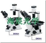 奥林巴斯CKX31倒置显微镜