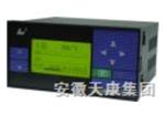 安徽天康SWP-LCD-R无纸记录仪表报价