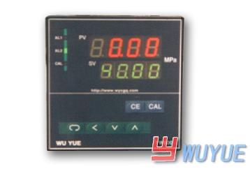 PW500熔体压力传感器仪表