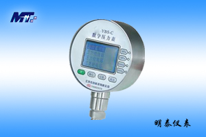 MT-YBS-C 精密数字压力表