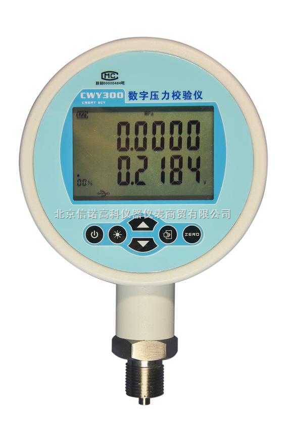 CWXN-CWY100 精密数字压力表