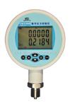 CWXN-CWY100 精密数字压力表