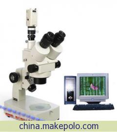 XTL-T型      体视显微镜