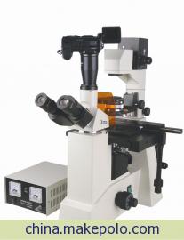 沪杏荧光显微镜