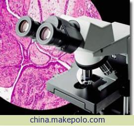 苏州供应OLYMPUS教学显微镜CX31